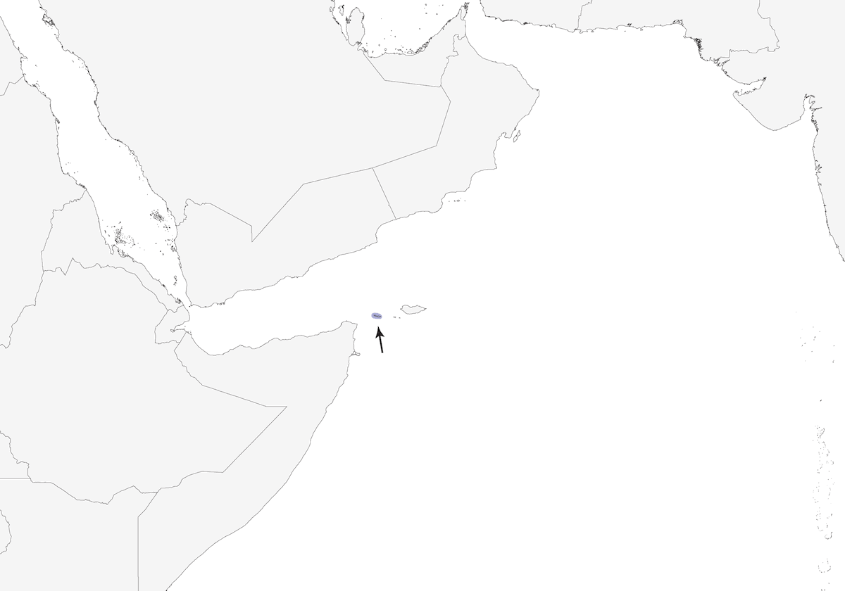 Abd al Kuri Sparrow, Distribution 1