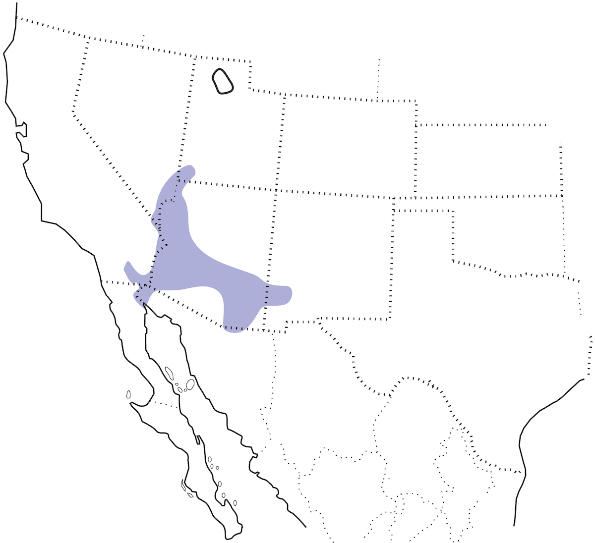 Abert's Towhee, Distribution 1