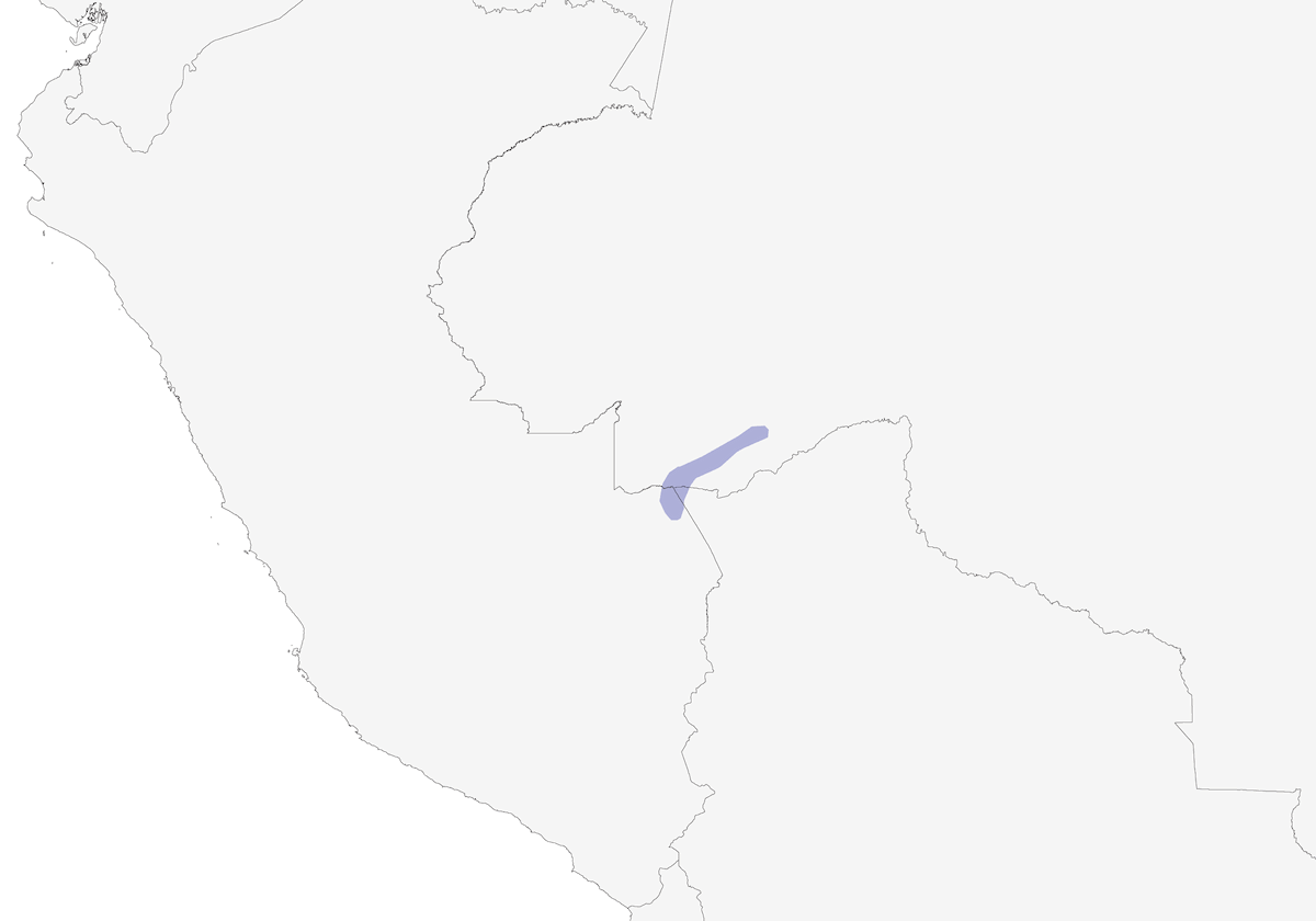 Acre Tody-Tyrant, Distribution 1
