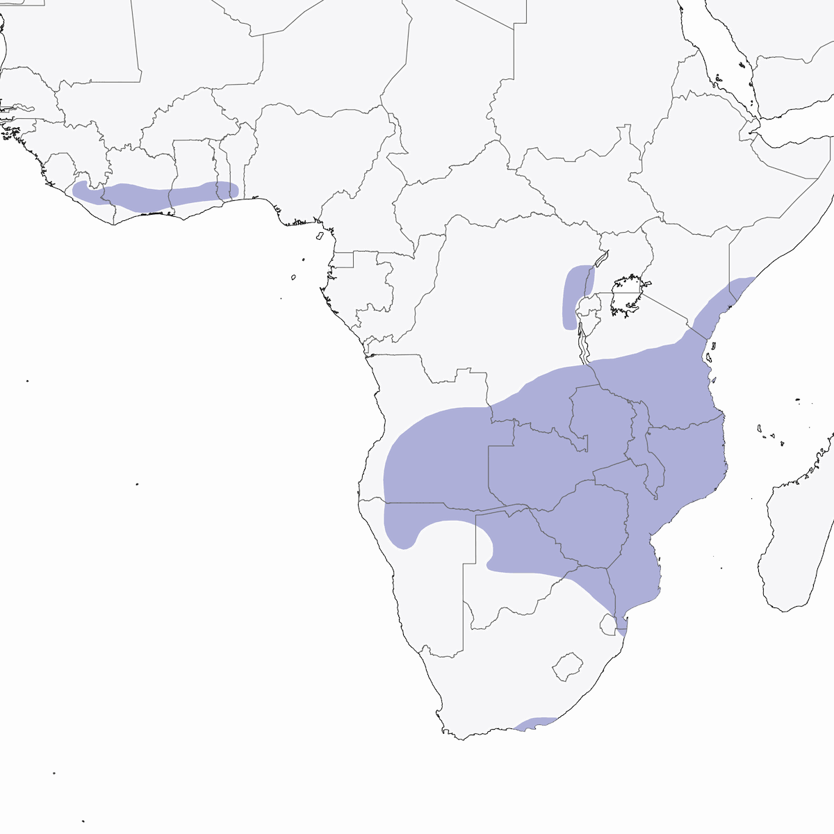 Afrikanischer Sperlingskauz, Verbreitung 1