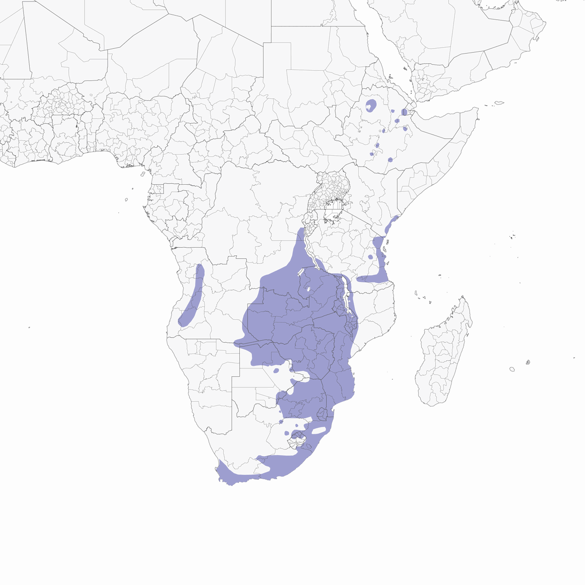 Bouscarle de savane, Distribution 1