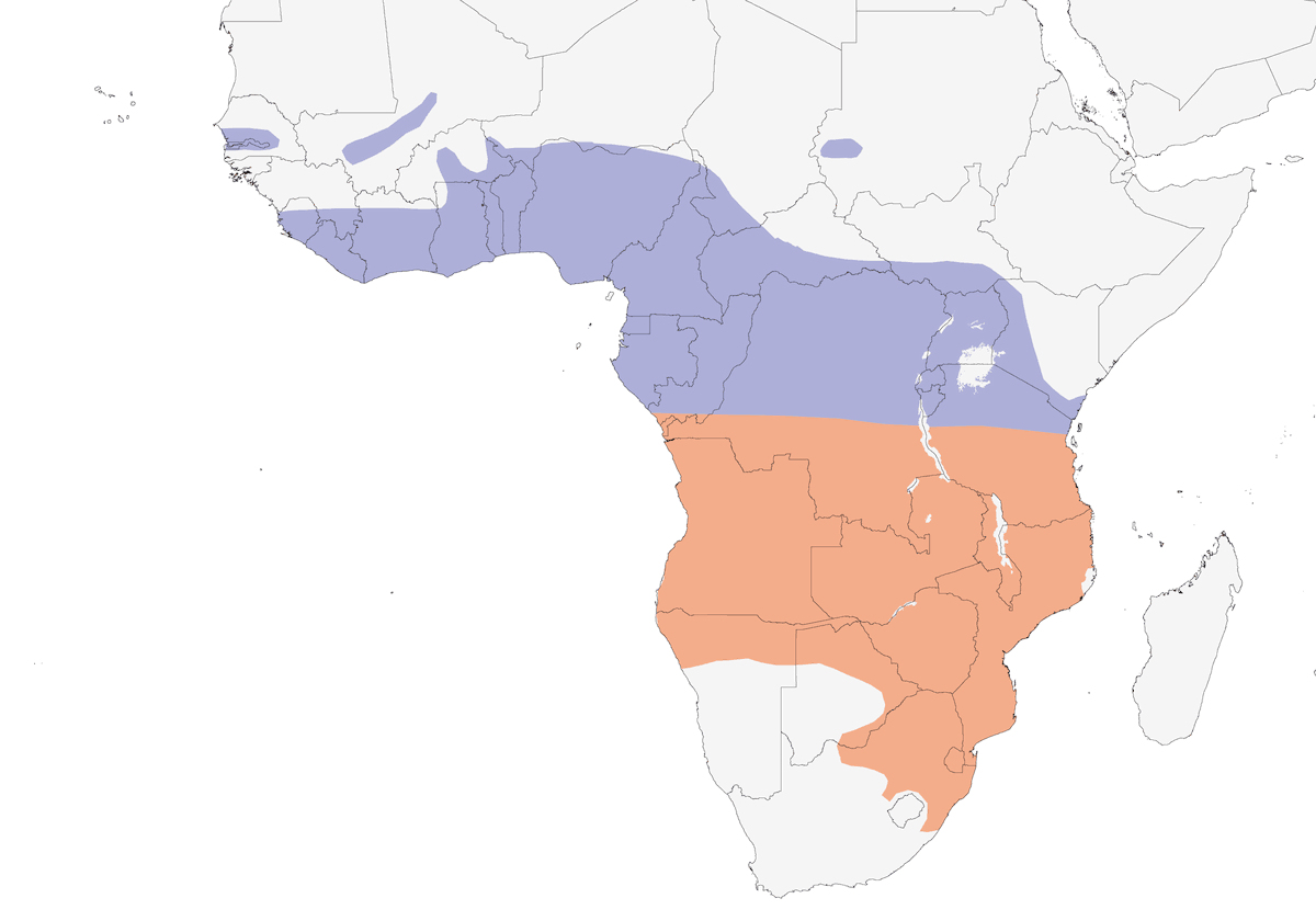 African Crake, Distribution 1