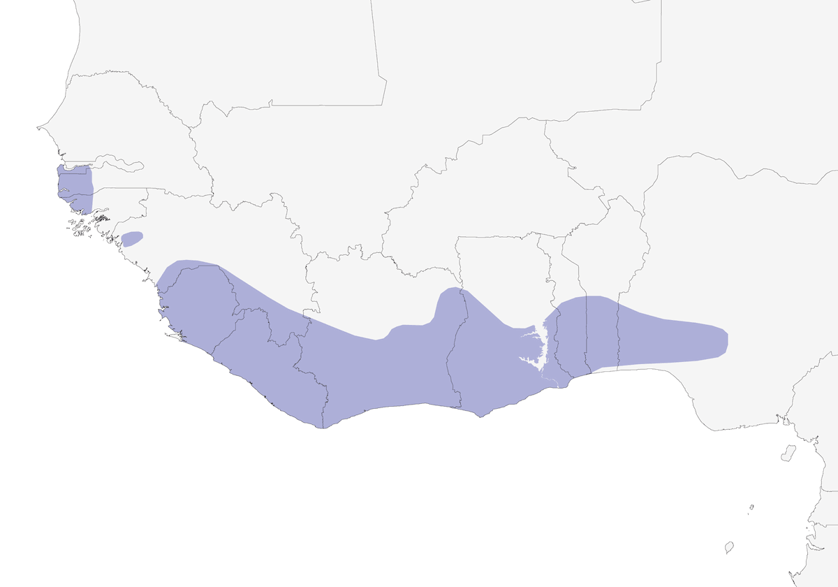 Ahanta Spurfowl, Distribution 1