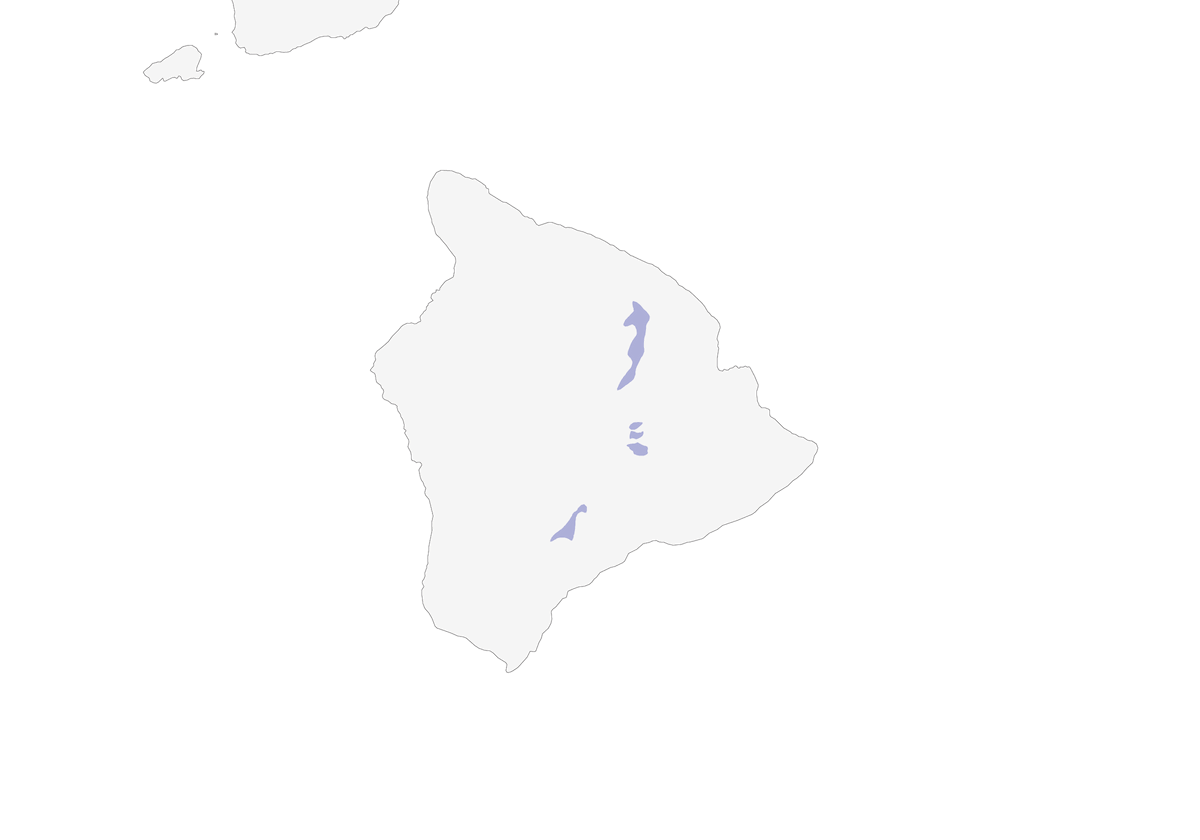 Akiapolaau, Distribuzione 1