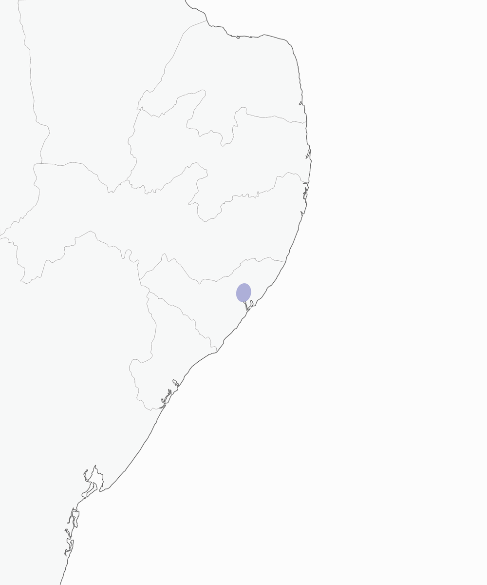 Scricciolo formichiere di Alagoas, Distribuzione 1