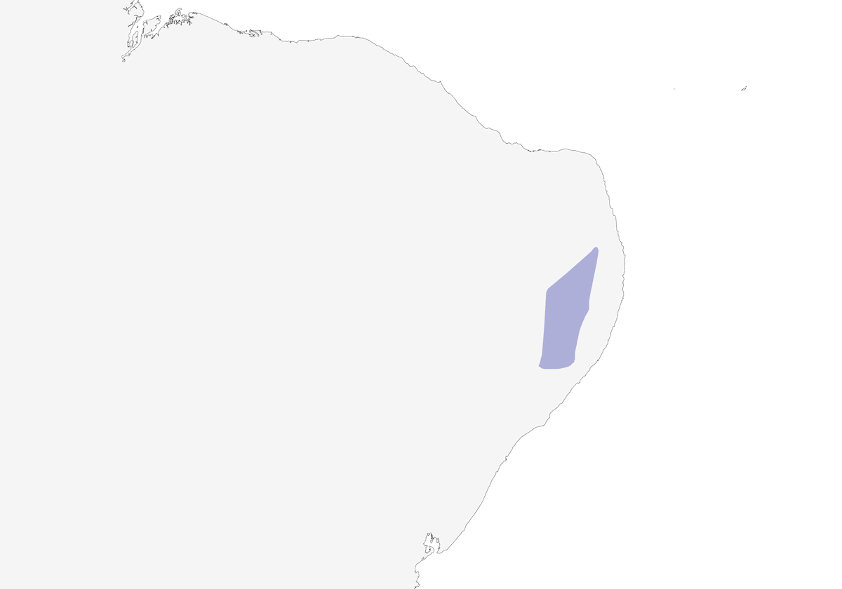 Tiranuelo de Alagoas, Distribución 1