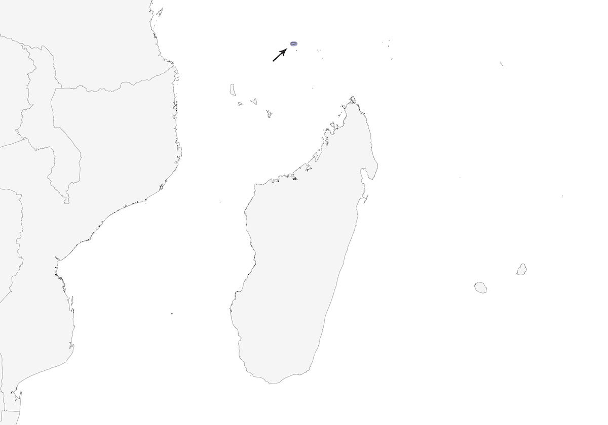 Drongo di Aldabra, Distribuzione 1