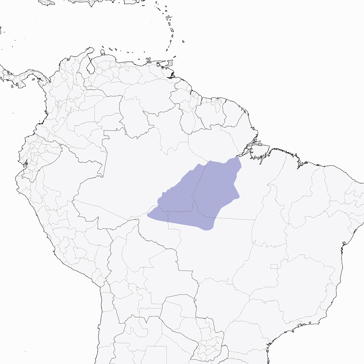 Pitta formicara di Alta Floresta, Distribuzione 1