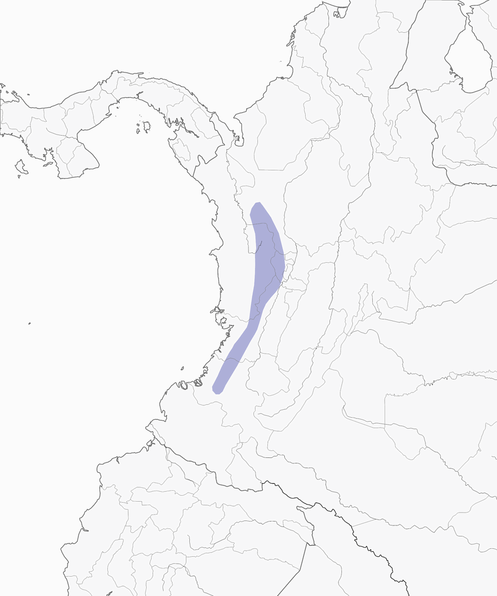 Tapaculo de Tatama, Distribution 1