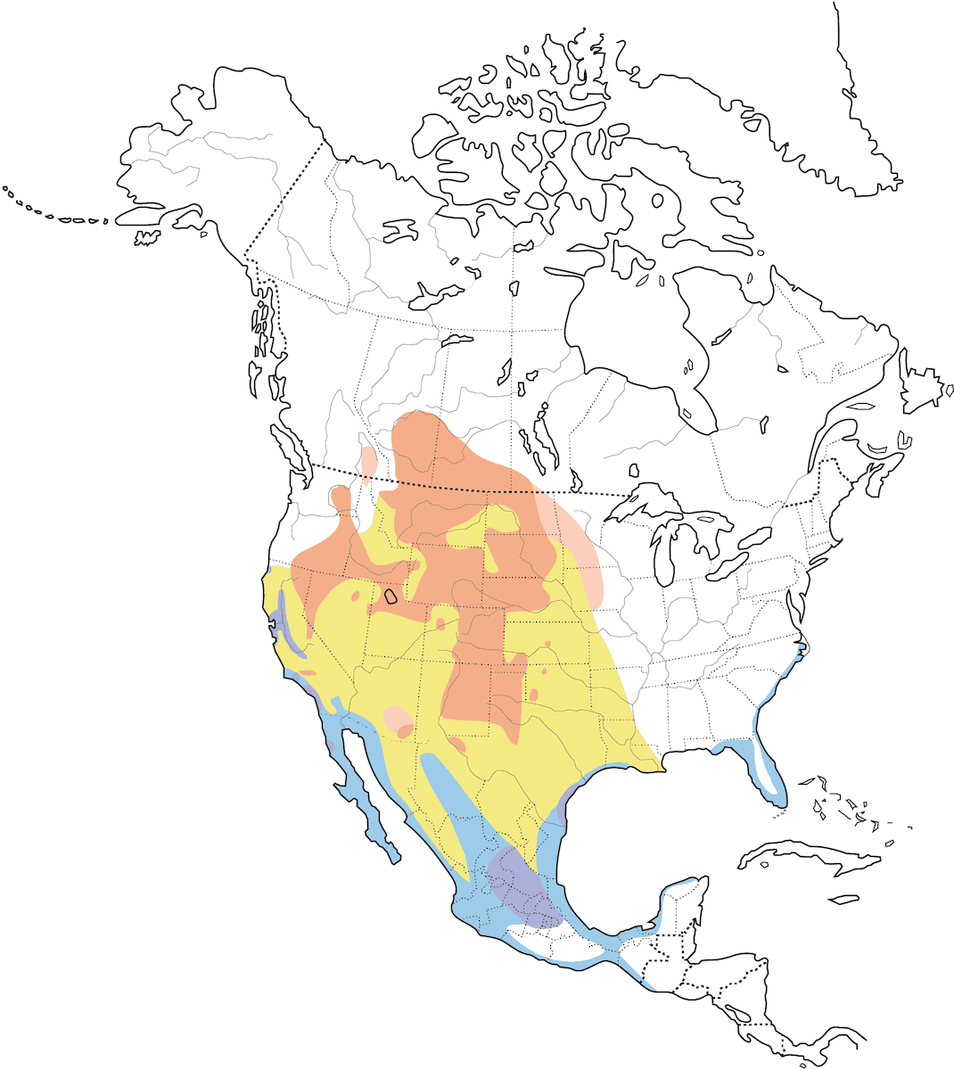 Avoceta Americana, Distribución 1