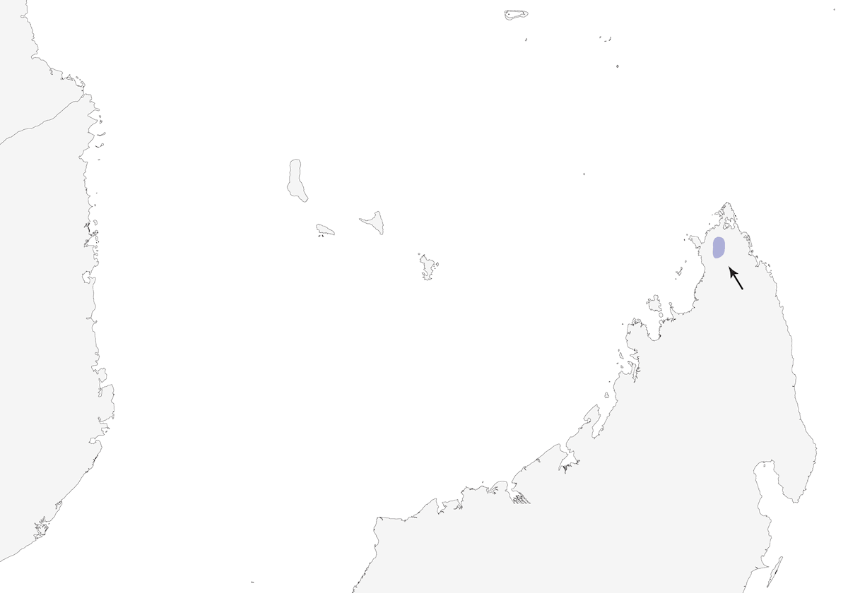 Amber Mountain Rock-Thrush, Distribution 1