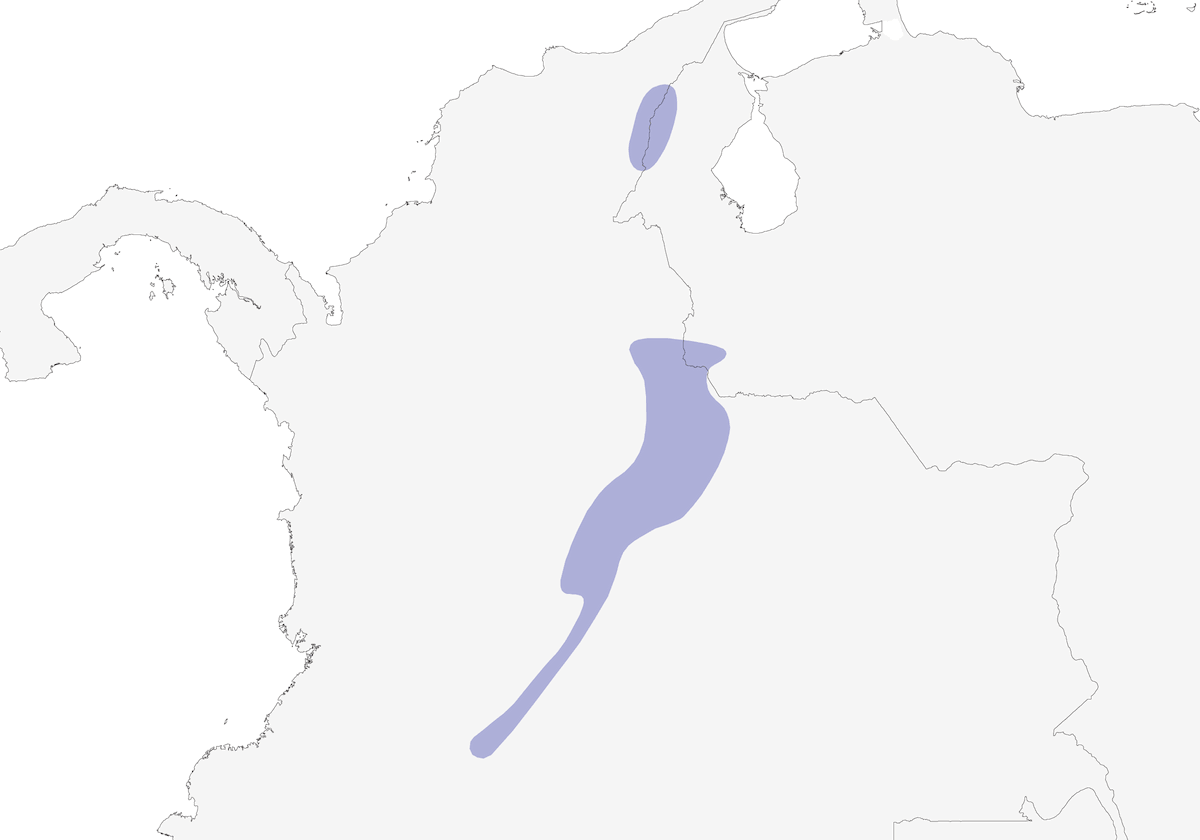 Longuemare's Sunangel, Distribution 1
