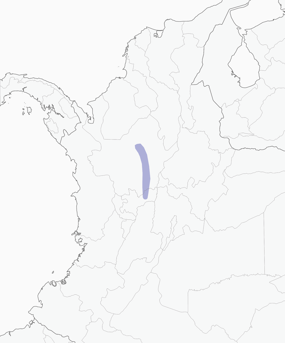 Tiranno setoloso di Antioquia, Distribuzione 1