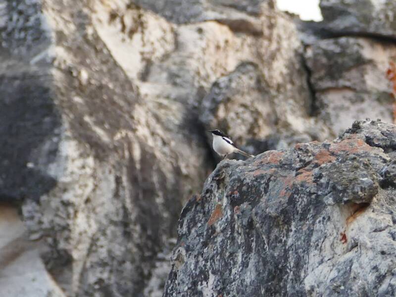 Chasco de Angola, Fotos 2
