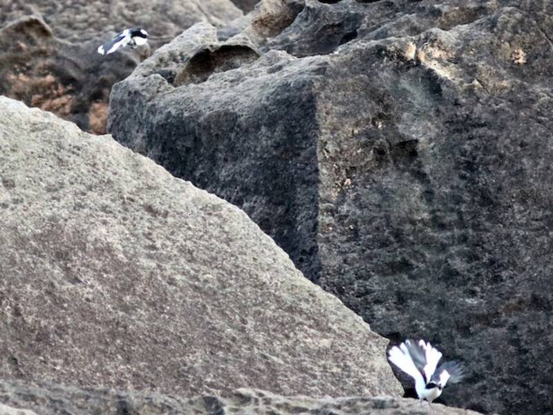 Chasco de Angola, Fotos 4