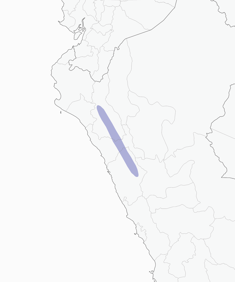 Ancash Tapaculo, Distribution 1