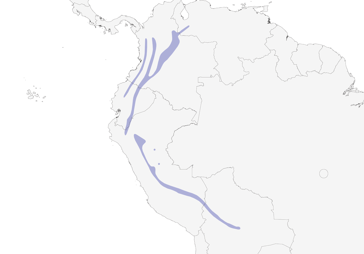 Rupicola andina, Distribuzione 1