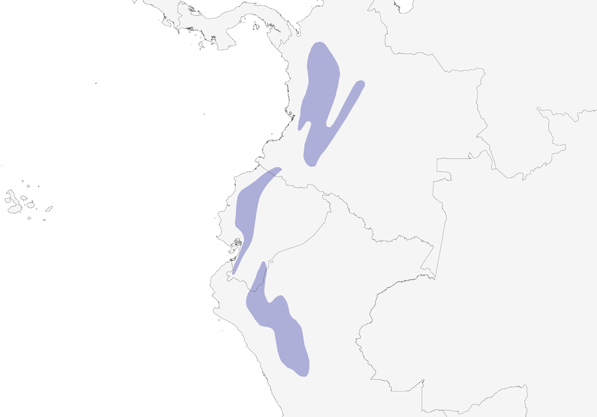 Esmeralda Andina, Distribución 1