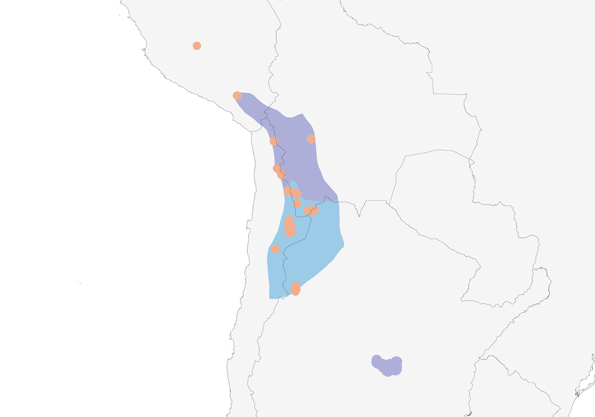 Flamenco Andino, Distribución 1