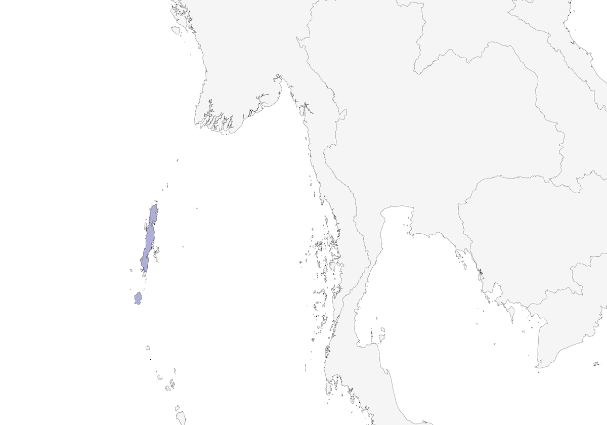 Shama de Andamán, Distribución 1