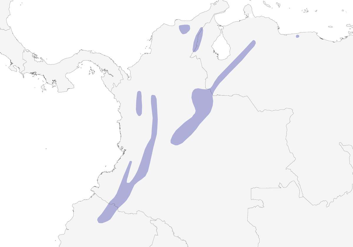 Lucherino andino, Distribuzione 1