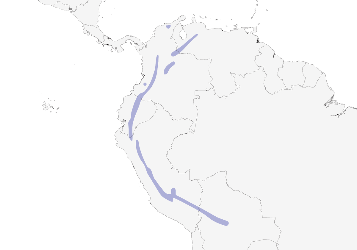 Becasina de Jameson, Distribución 1