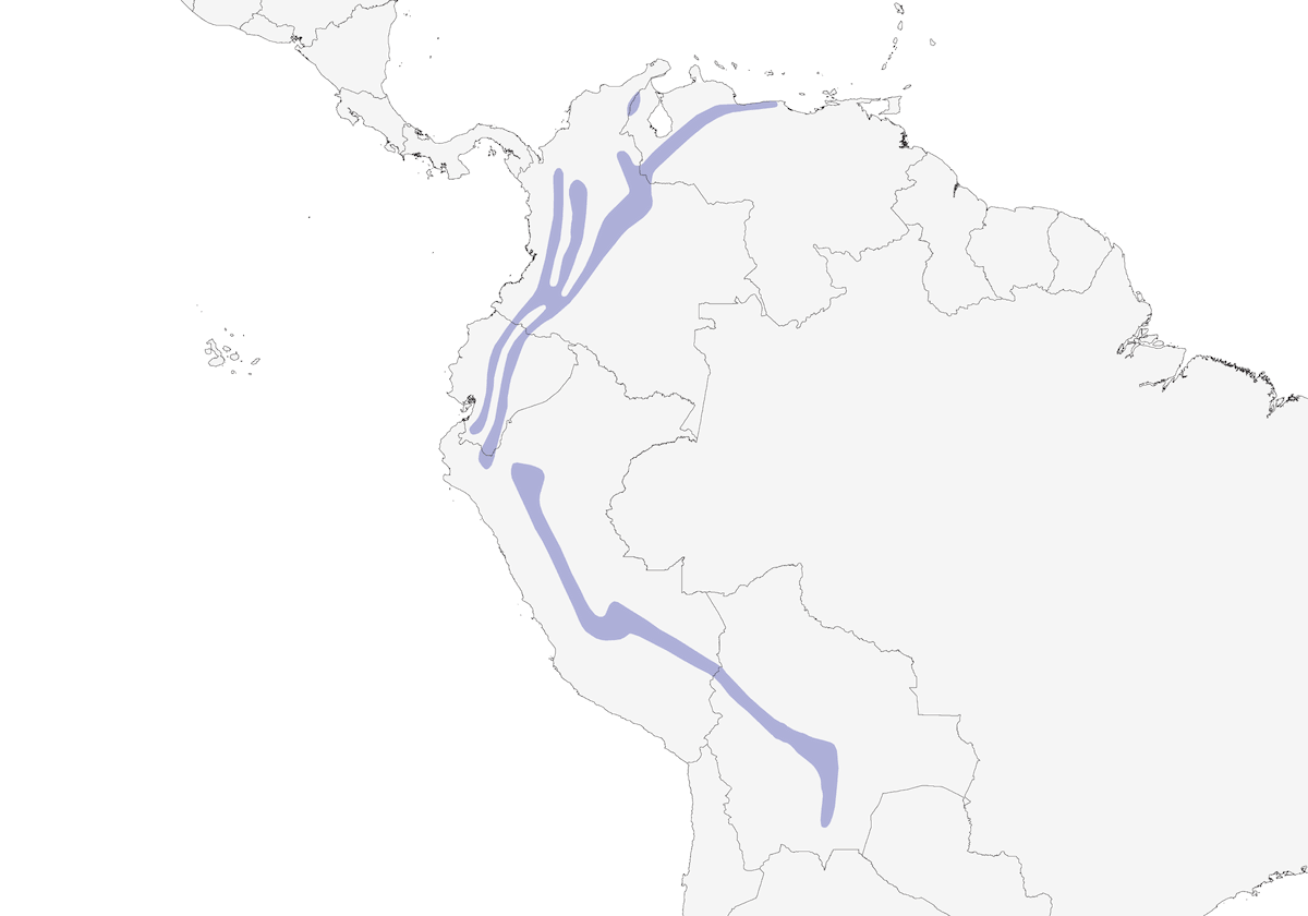 Andean Solitaire, 分布 1