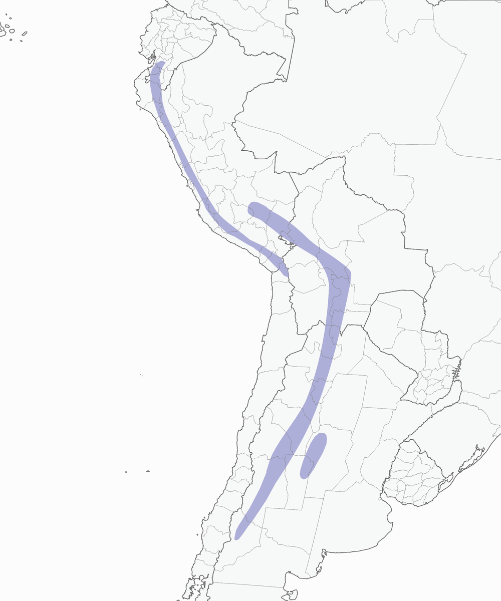 Tinamú andino, Distribución 1