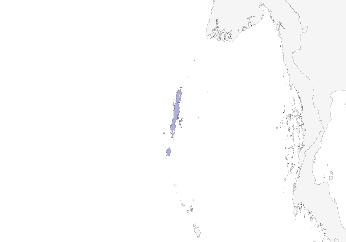 Andaman Treepie, 分布 1