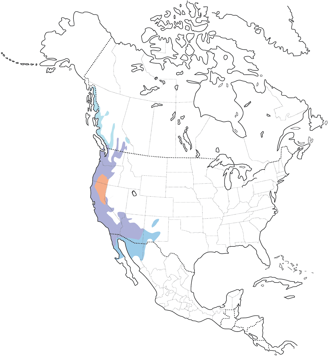 Anna's Hummingbird, Distribution 1