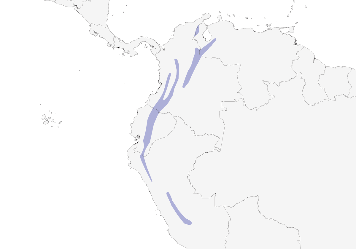 Mochuelo Andino, Distribución 1