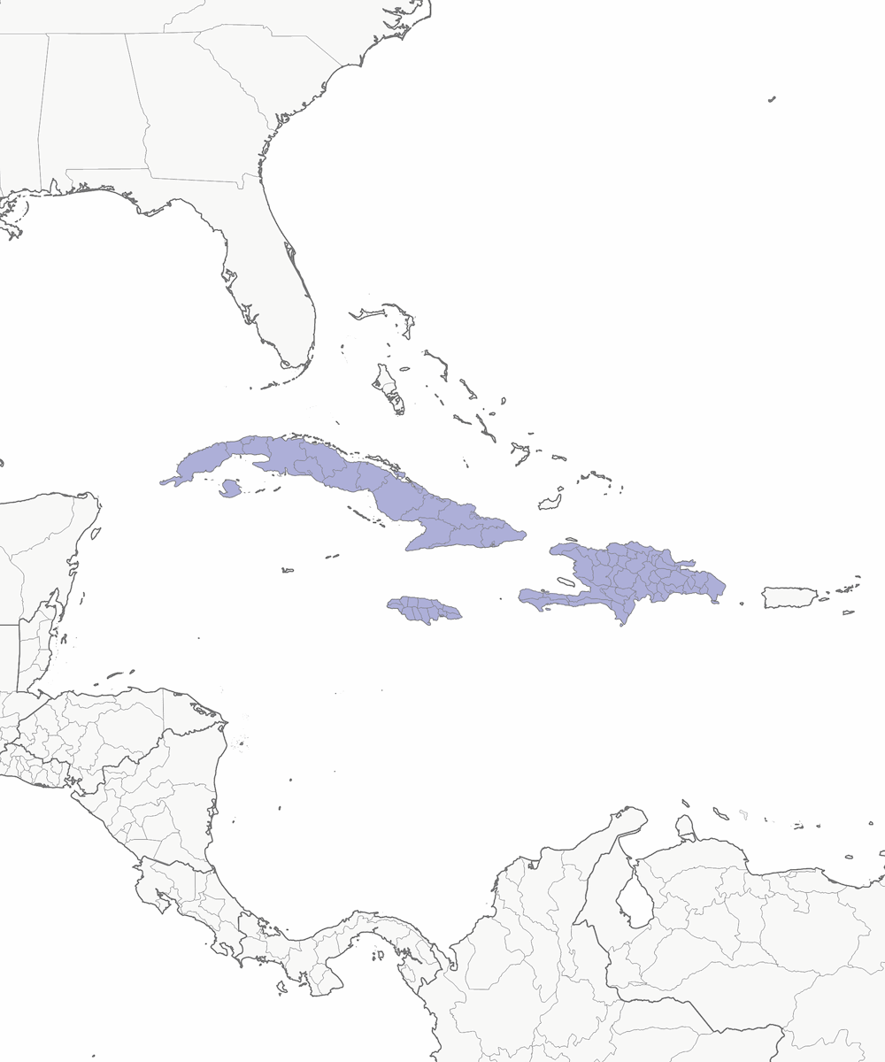 Vencejo palmero antillano, Distribución 1