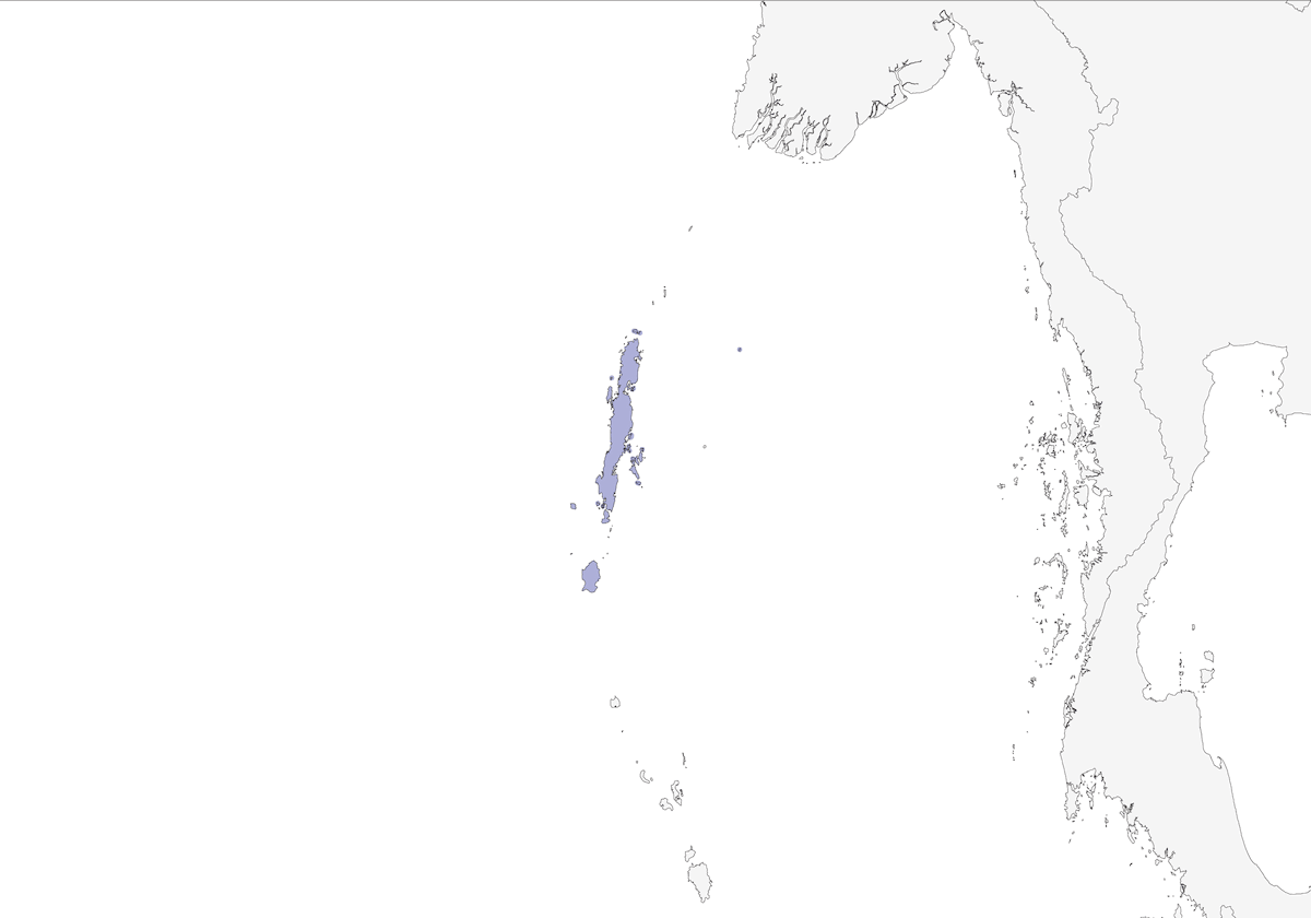 Gufo scops delle Andamane, Distribuzione 1