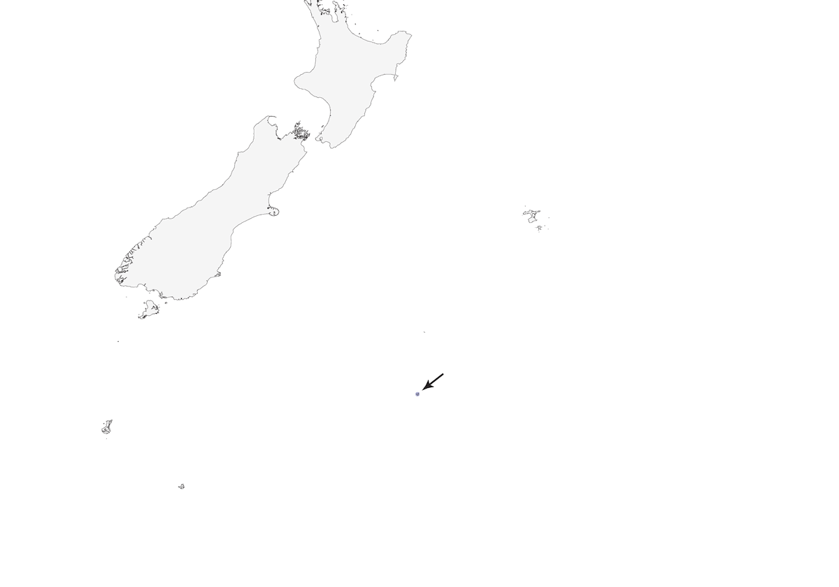 Perruche des Antipodes, Distribution 1