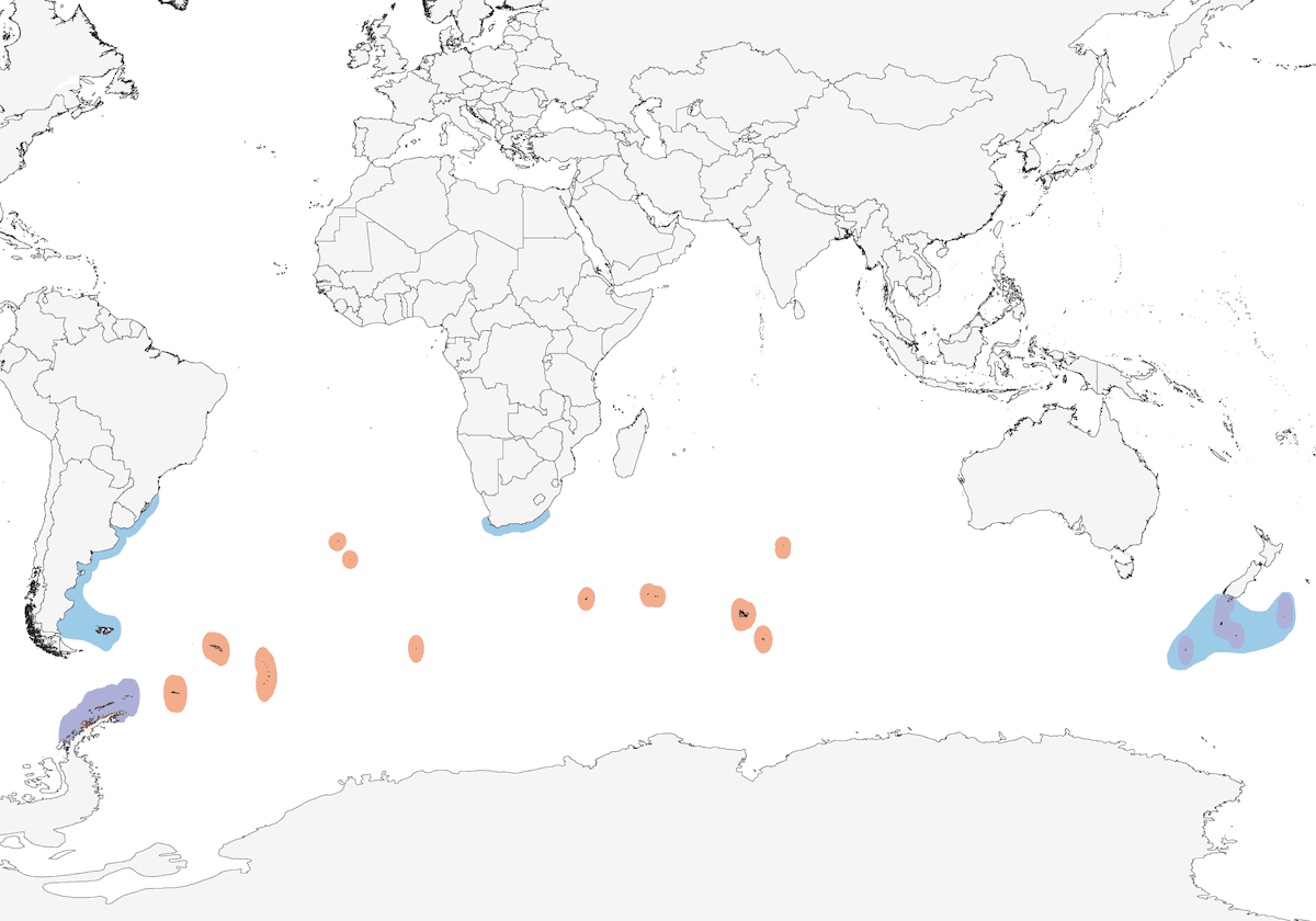 Sterne antarctique, Distribution 1
