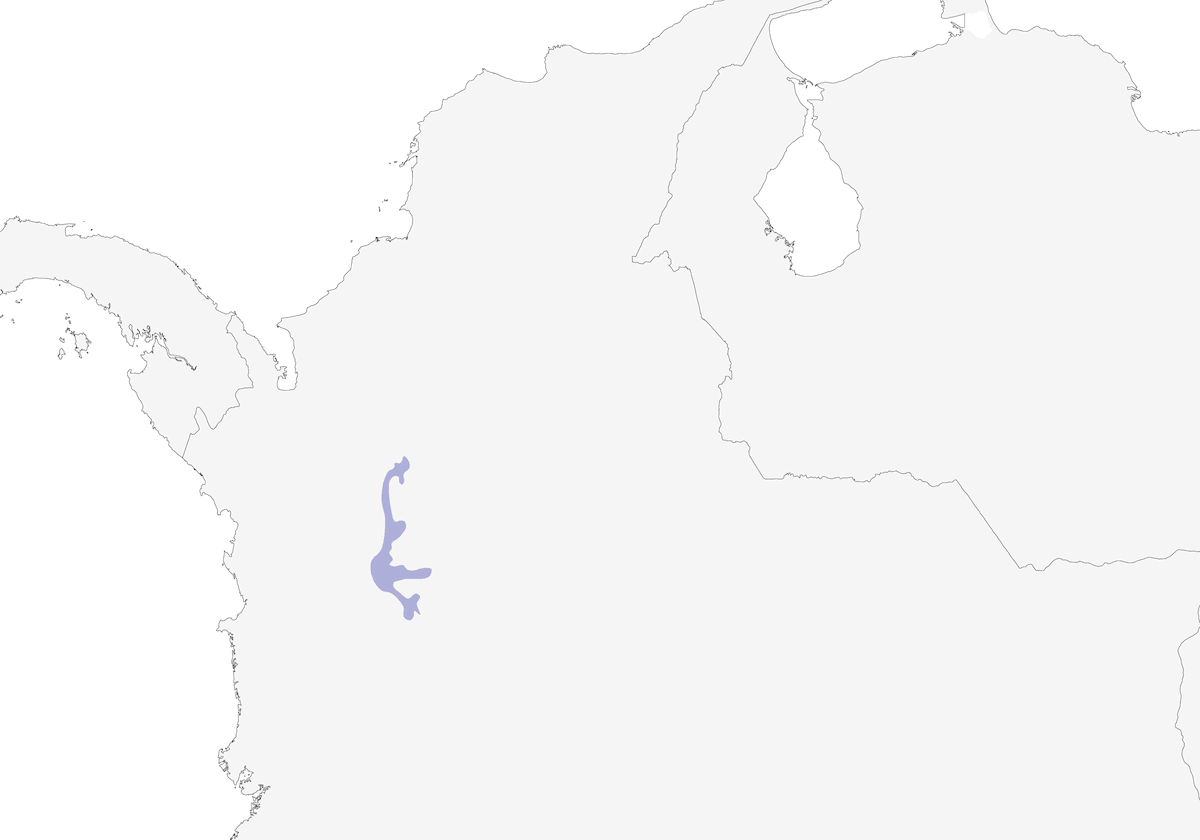 Antioquiazaunkönig, Verbreitung 1