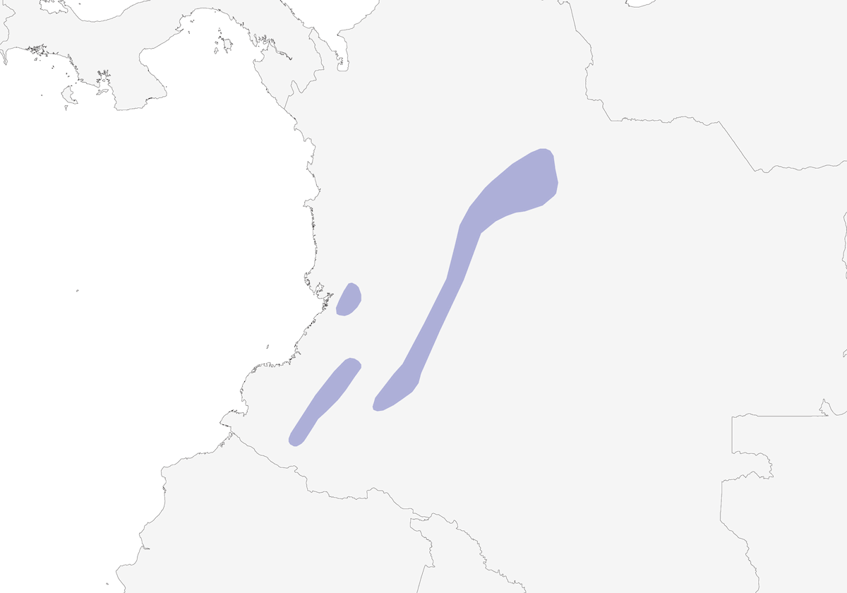 Pigliamosche apicale, Distribuzione 1