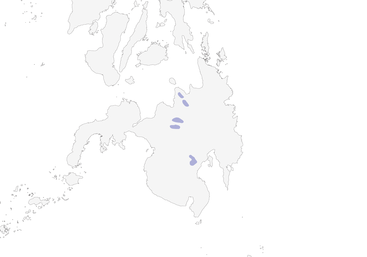 Apo Myna, Distribution 1