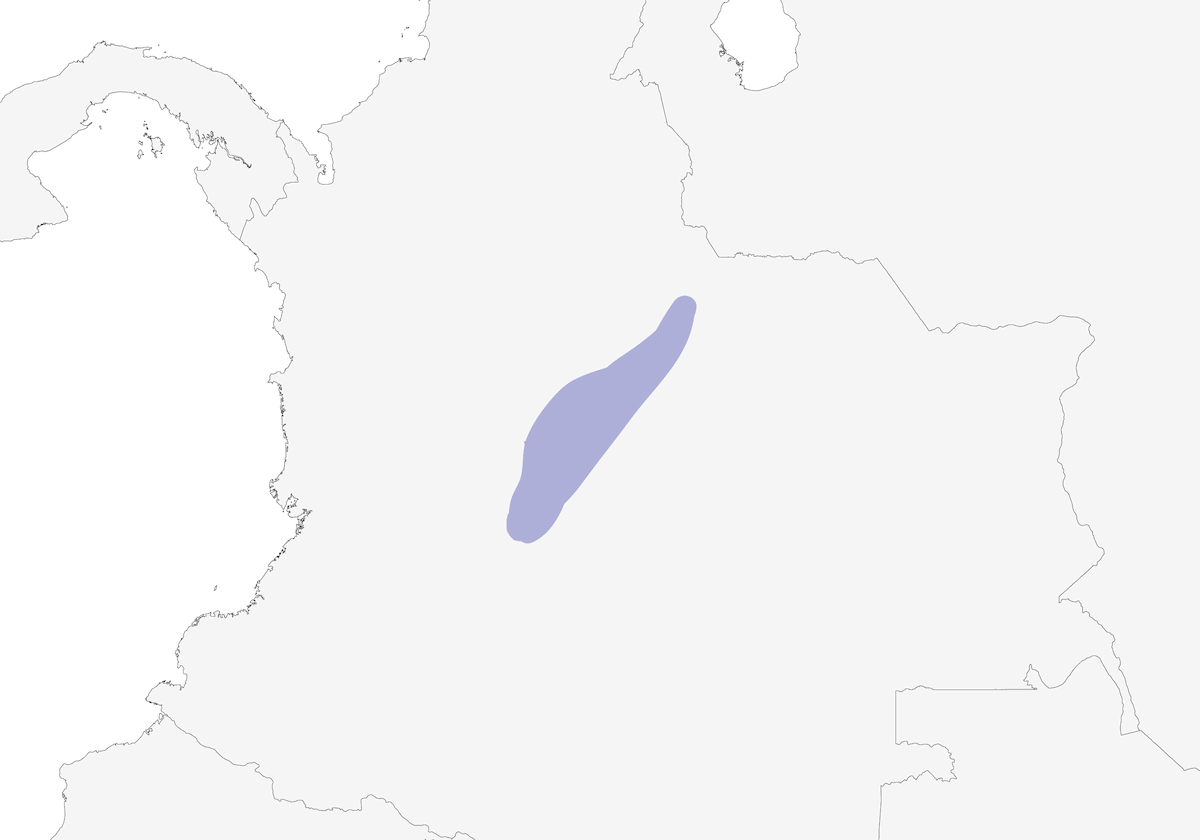 Scricciolo di Apolinar, Distribuzione 1