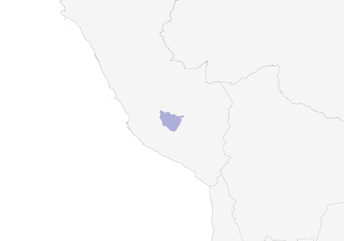 Apurimac Brushfinch, Distribution 1