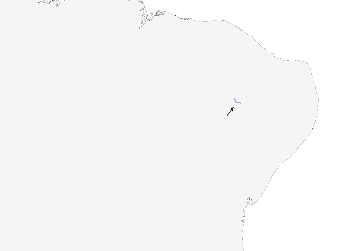 Saltarín del Araripe, Distribución 1