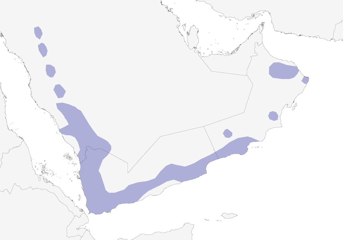 Pernice araba, Distribuzione 1