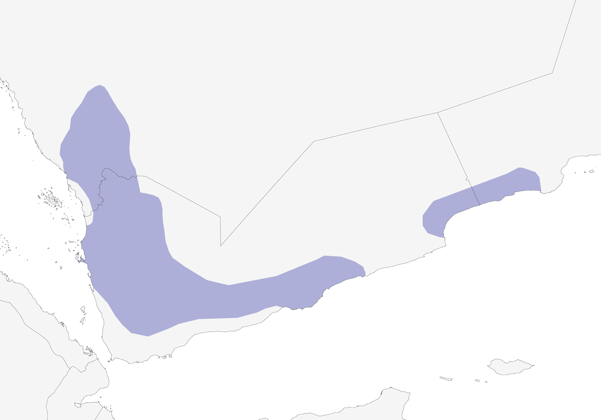 Assiolo arabo, Distribuzione 1