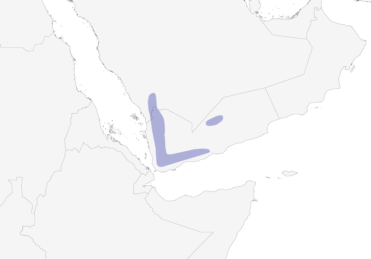 Arabische Amarant, Verbreitung 1