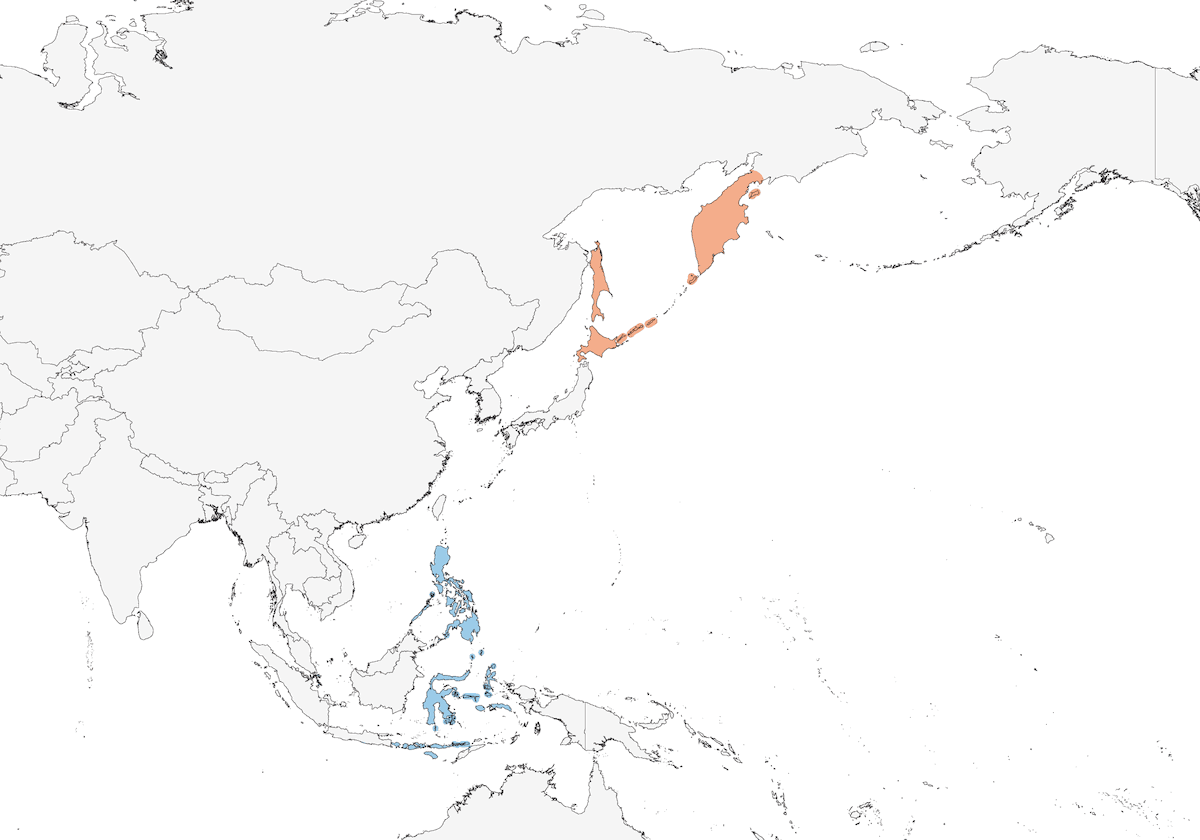Pouillot du Kamtchatka, Distribution 1