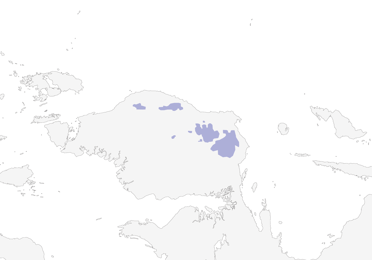 Arfak Astrapia, Distribution 1
