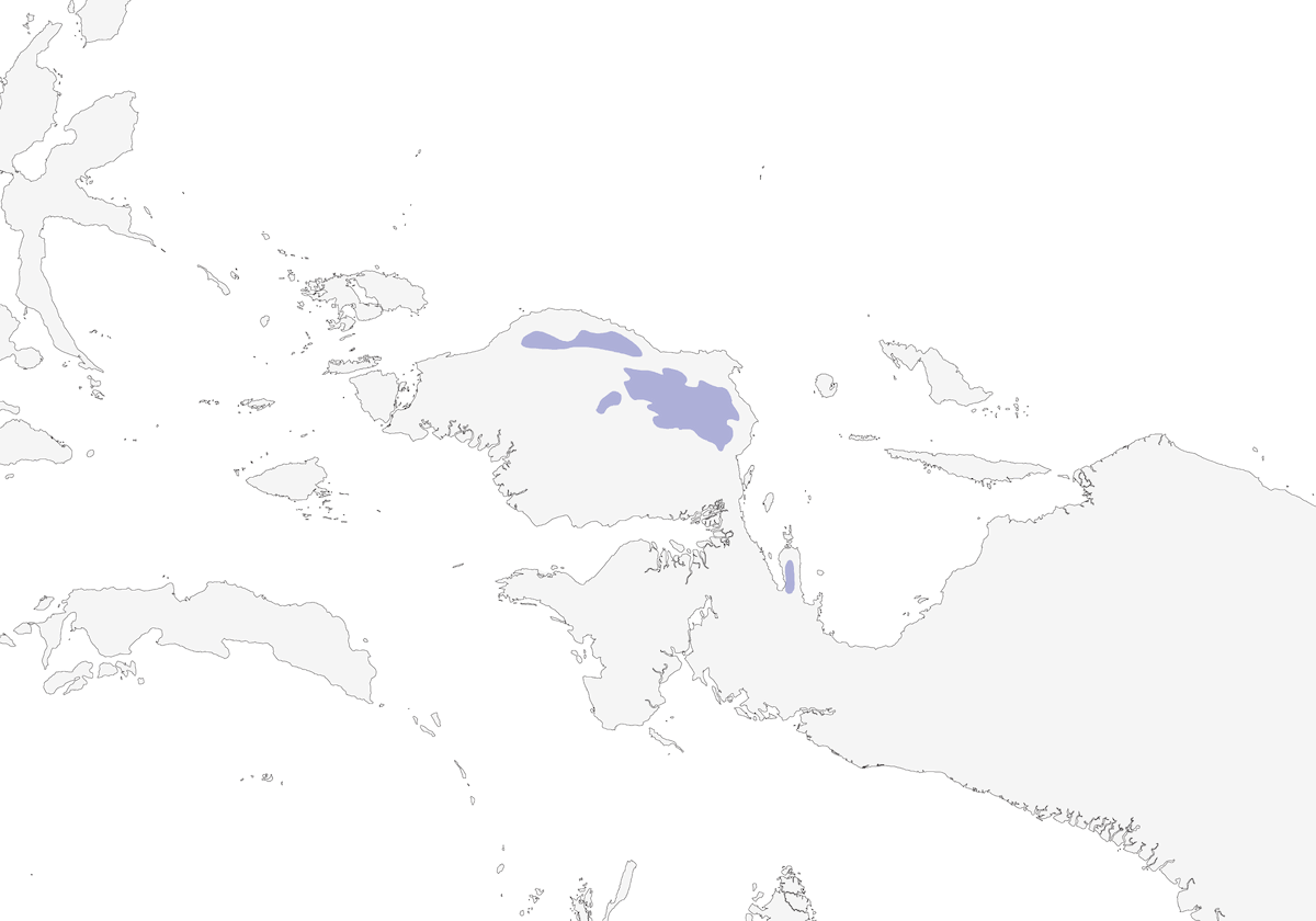 Arfak Honeyeater, Distribution 1