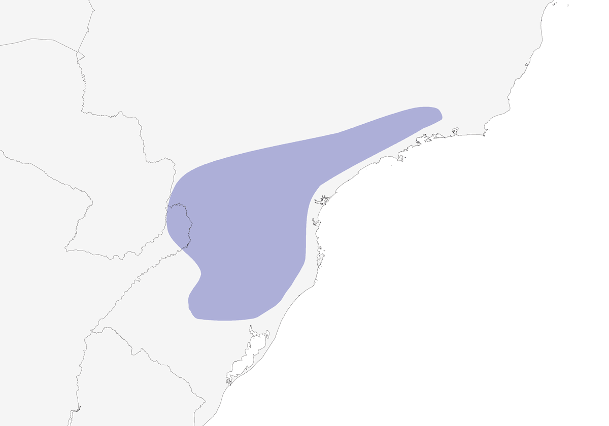 Codaspinosa della Araucaria, Distribuzione 1