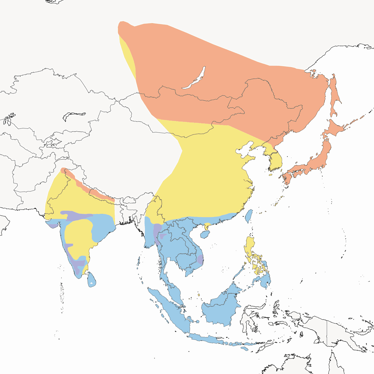 Asian Brown Flycatcher, Distribution 1