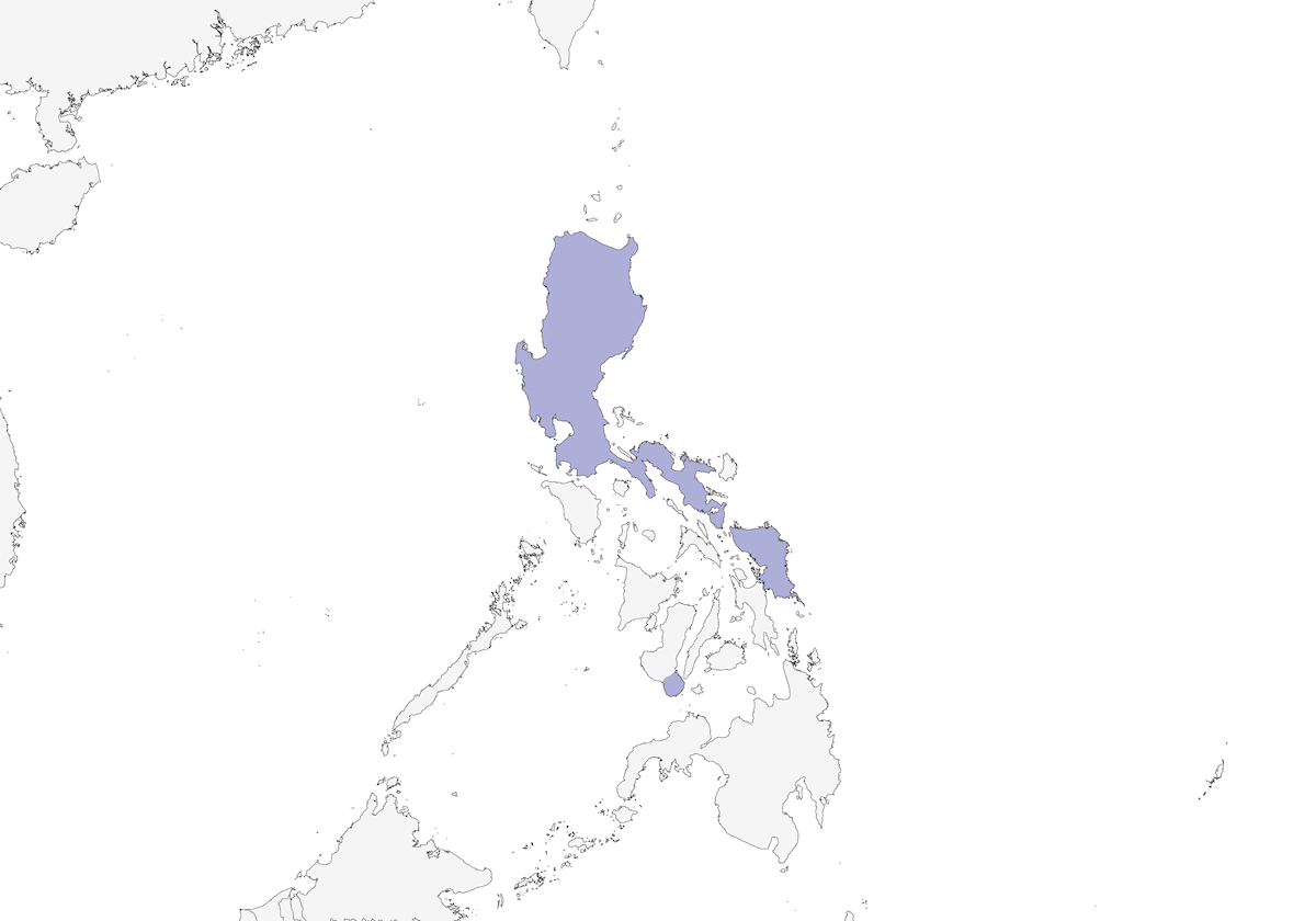 Ashy-breasted Flycatcher, Distribution 1